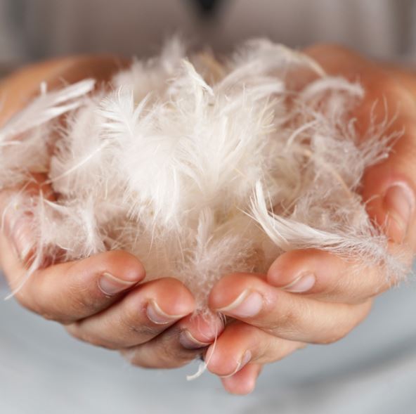 Hanna Handmade Duck Feather & Down Duvets