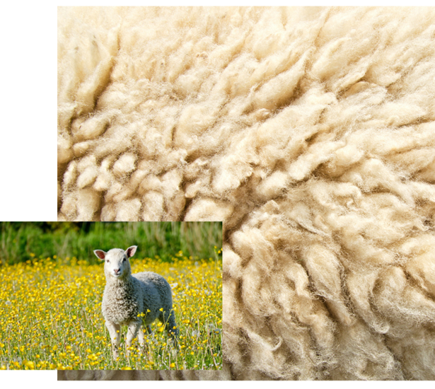 Hanna Hotel Range 100% Certified Pure Wool Duvet