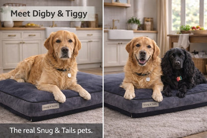 Snug & Tails Tucker Dog Bed