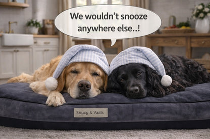 Snug & Tails Tucker Dog Bed