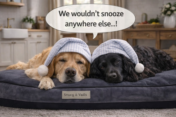 Snug & Tails Tucker Dog Bed