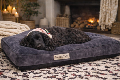 Snug & Tails Tucker Dog Bed